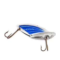 Reef Runner Cicada