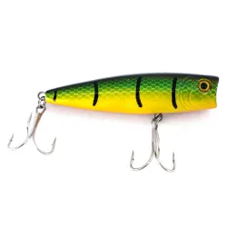 Bass Pro Shops XTS