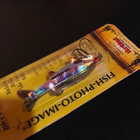 Northland Live Forage Cucharilla, Trucha Arcoíris, 7g, Realista, #11150