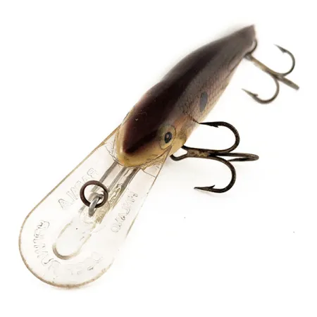 Rapala Shad Rap Deep Runner 07 Señuelo, Dorado, 8g, Balsa, #11580
