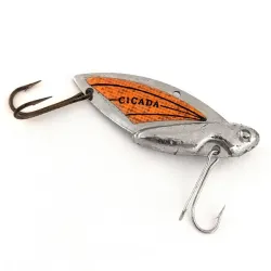 Reef Runner Cicada