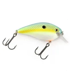 Strike King KVD 1.5 Square Bill Silencioso