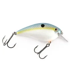 Strike King KVD 1.5 Square Bill Silencioso