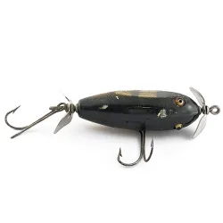 Creek Chub Injured Minnow con ojos de cristal