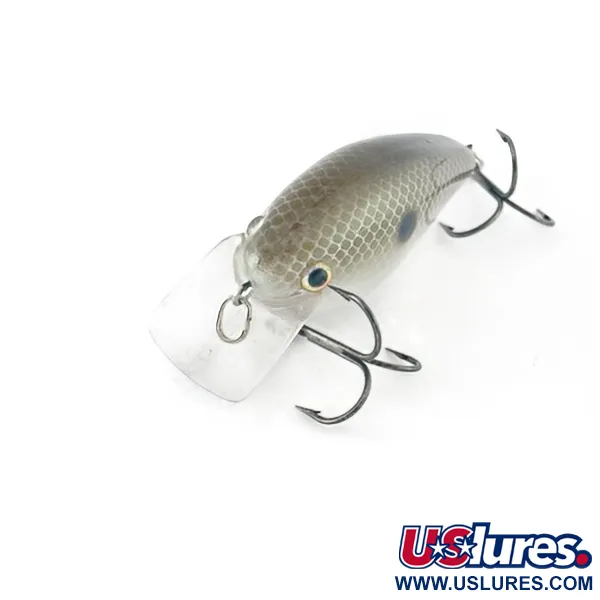 Strike King KVD 1.5 Silent, Olive Sexy Shad, 12g, Crankbait Square Bill #23627