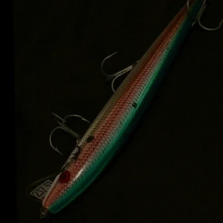 Rebel Floater F14, 14g, Color Trucha, Señuelo Flotante #23753