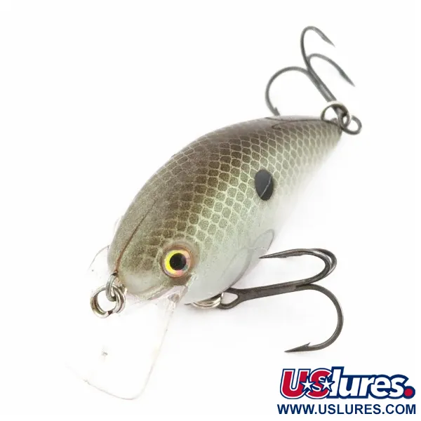 Strike King KVD 1.5 Silent, 12g Olive Sexy Shad, Crankbait de babero cuadrado #24028