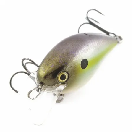 Strike King KVD 1.5, Olive Sexy Shad, 12g, Crankbait Squarebill Silencioso #24145