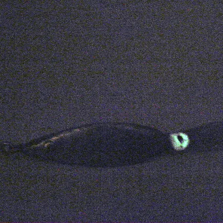 Weedless Fred Arbogast 3 Hawaiian Glow Cucharilla, 16g, Antialgas, #3338