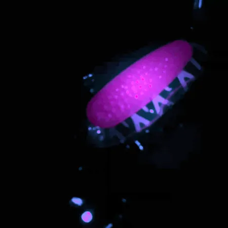 Blue Fox Pixee UV Cucharilla, Níquel/Rosa, 14g, Capa UV, #4558