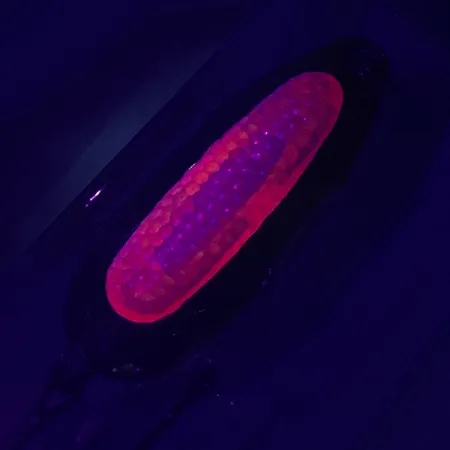 Blue Fox Rattlin Pixee UV Cucharilla, Oro / Rojo, 14g, Sonajero, #4749