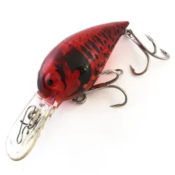 Storm Wiggle Wart