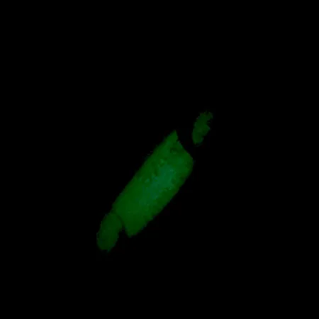 Luhr Jensen Crippled Herring Cuchara, Blanco/Verde UV Glow, 21g, #5921