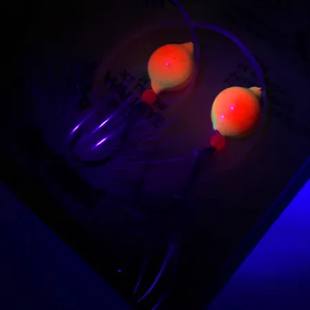 Northland Live Fishing Bait Roach Rig UV Montaje, Naranja, UV, #5967