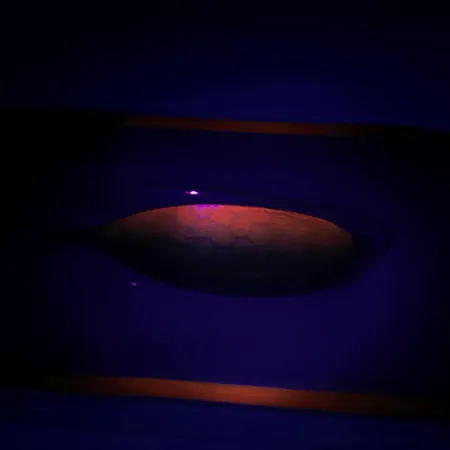 Johnson Silver Minnow Cucharilla Anti-algas, Verde/Naranja/Níquel, #6193