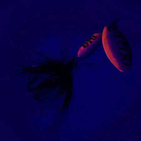 Yakima Bait Worden’s Original Rooster Tail UV Cucharilla, Rainbow Perch, 2,6g, UV, #6451