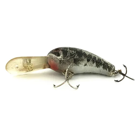 Cotton Cordell Big O Crankbait, Black/Silver/Gold, 10g, Flotante, #6944