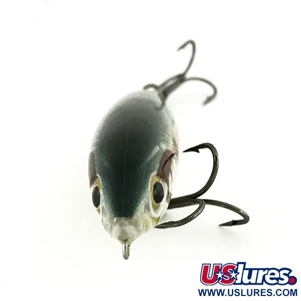 Paseante Rapala Skitter Walk, Mullet, 12g, Cola Lastrada, #7005