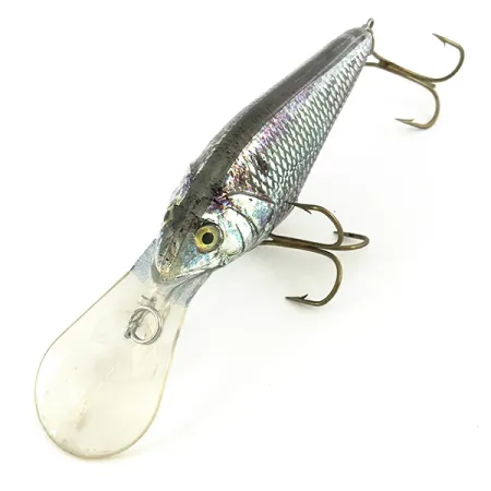 Berkley Frenzy Diver Señuelo Flotante, Rainbow Silver, 12g, #7350