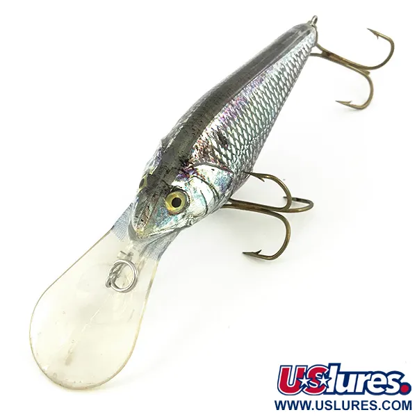 Berkley Frenzy Diver Señuelo Flotante, Rainbow Silver, 12g, #7350