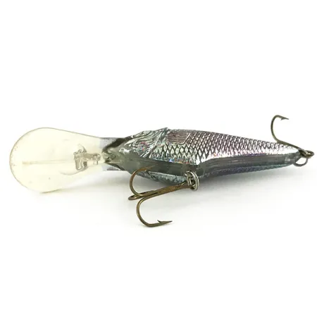 Berkley Frenzy Diver Señuelo Flotante, Rainbow Silver, 12g, #7350