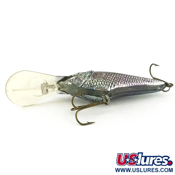 Berkley Frenzy Diver Señuelo Flotante, Rainbow Silver, 12g, #7350