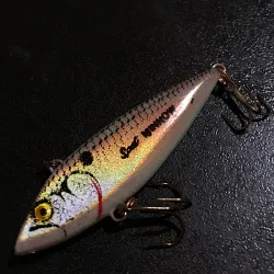 Cotton Cordell TH Spot