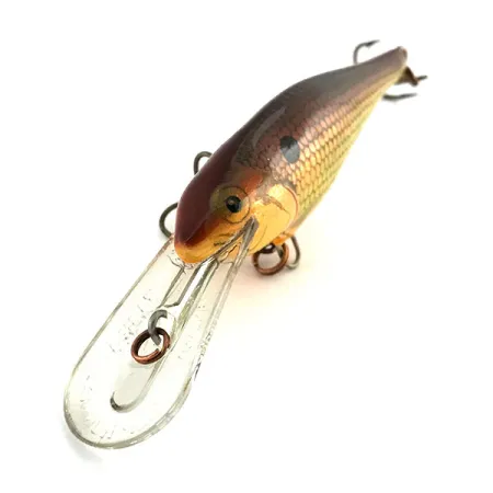 Rapala Shad Rap Deep Runner 07 Señuelo, Dorado, 8g, Balsa, #9033