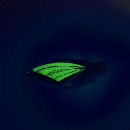 Reef Runner Cicada Blade Bait, Níquel / Verde, 14g, Luminiscente, #9560